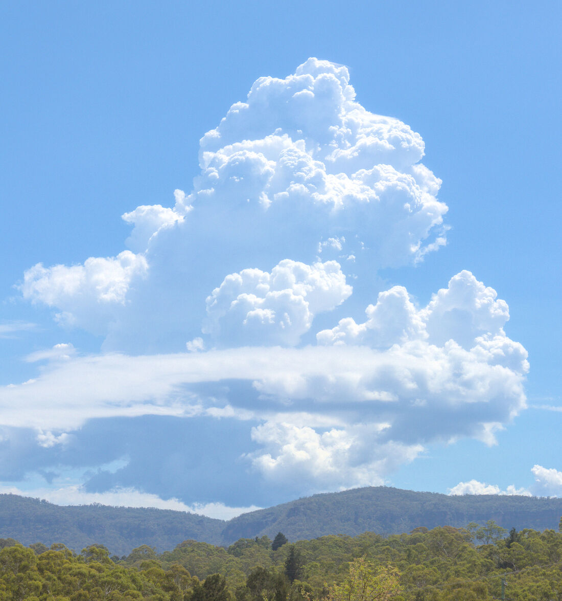 Magnificent Cloud Head