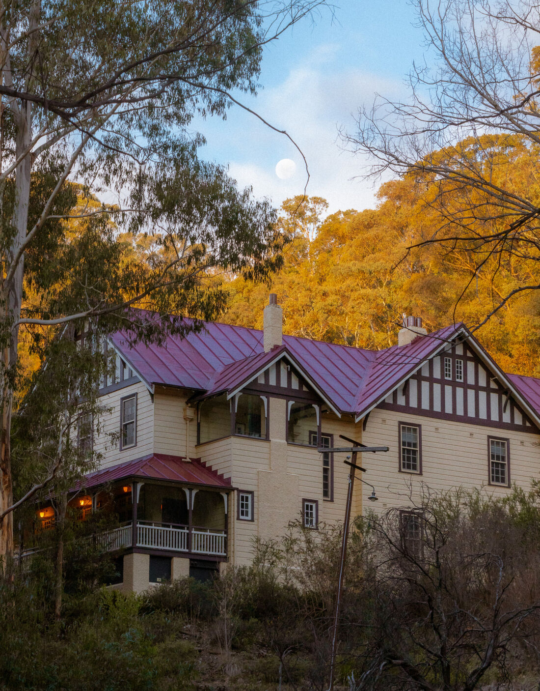 The Last Homely House