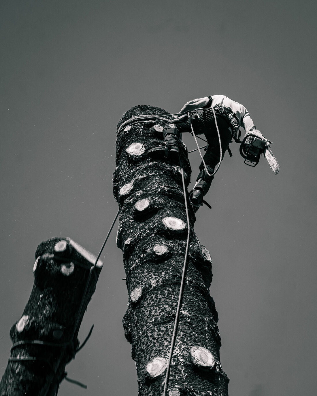 "Community Development"