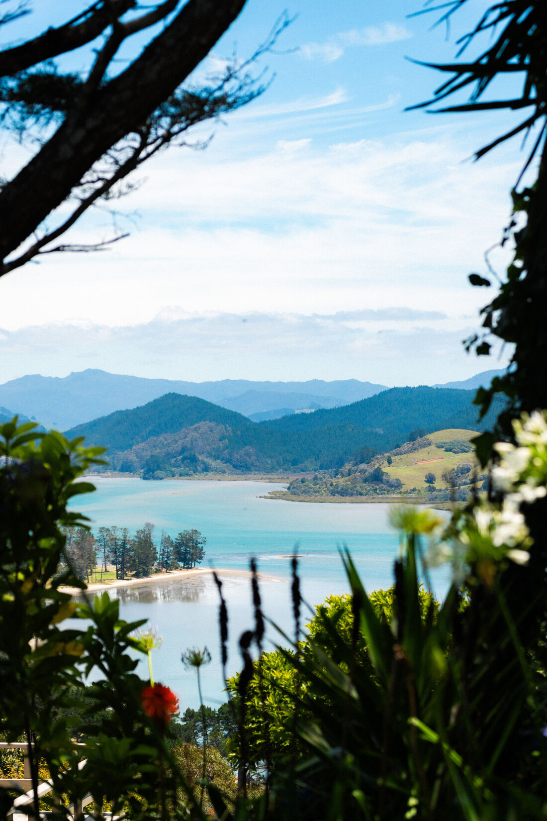 Tairua From Mount Paku (1)