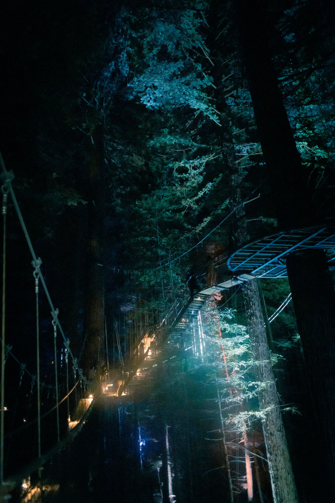 Tribute to "The Passing of the Elves"