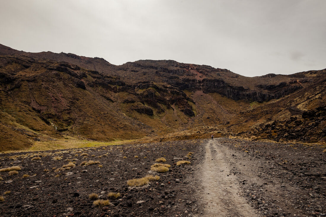 Volcanic Terrain (1)