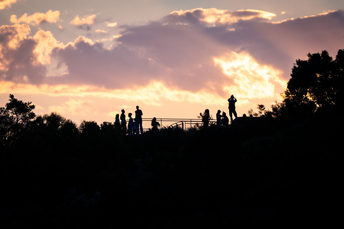 Sunset Watchers at Berrys Bay