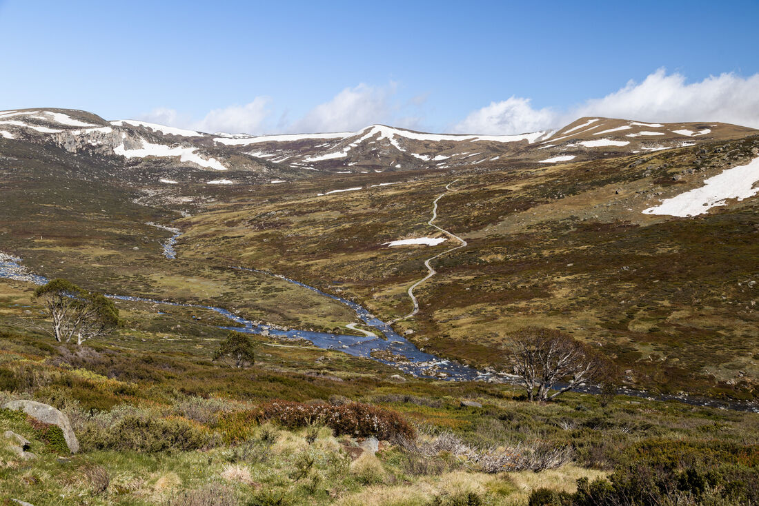 Snowy River Country
